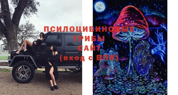 скорость Белокуриха
