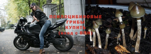 гидра Балахна
