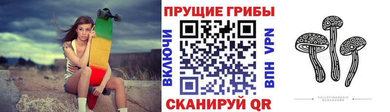 Псилоцибиновые грибы Psilocybe  Южноуральск 